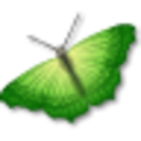 i-may-have-lost-the-map avatar