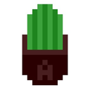 i-named-my-cactus-albert avatar