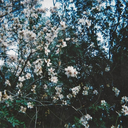 i-ntentions-blog avatar