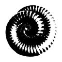 i-regret-n0thing avatar