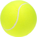 i-want-tennis-ball avatar