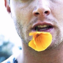 i-will-ship-you avatar