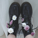 i-would-i-were-thy-bird avatar