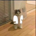 ialwaysforgetmyname avatar