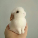 iamallergictothesun avatar