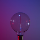 iamcurrentlyconfused avatar