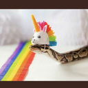 iamgaysnakesblog avatar