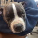 iamnaivelywise-blog avatar