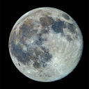 iamnoonetodayortomorrow avatar