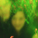 iamnot-creative avatar