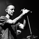 iamnotaginger avatar