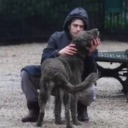 iamprobablydeadlol avatar