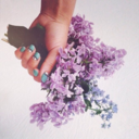 iamscribby519 avatar