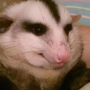 iamsofckingtired avatar