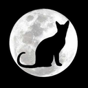 iamthecatonthemoon avatar