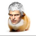 iamtheshriekingguineapig avatar