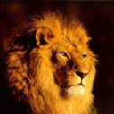 ianchildraven avatar