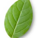 iandmedontexist avatar