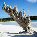 ianobrienposts avatar