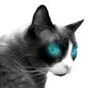 iaredunecat avatar