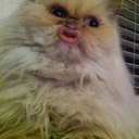 iawgomros-blog avatar