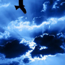 ibelieve-inlove avatar