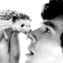 ibelieveinsh221 avatar