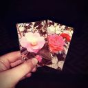 ibelongwiththecrows avatar