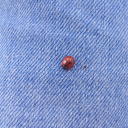 iboughtyomamaflowers avatar