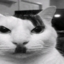 iburntthewateragain avatar