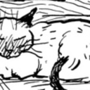 icanhasfunhome avatar