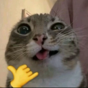 icantbelieveanyonewould avatar