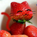 icantbelieveimdoingthis11 avatar