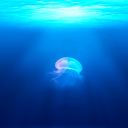 icantgetanythingelse avatar