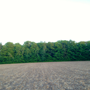 icanthandleyou avatar