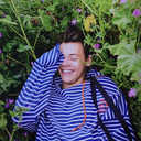 icanthelpfallinginlovewithharry avatar