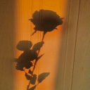 icantpickalane avatar