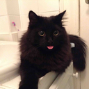 icantthinkofusername7 avatar