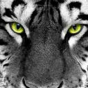 ice-creem19-blog avatar