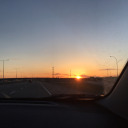 ice-und-honey avatar