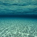 icecream-tears avatar