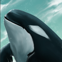 icedcoffeeorca avatar