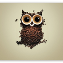 icedcoffeeowls avatar