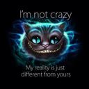 icephoenix1701-blog avatar