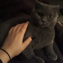 icerdebiryerlerde avatar