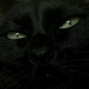 ich-tudirweh avatar