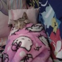 ichliebemeinkissen avatar