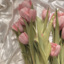 icindeyasayanbirkiz avatar