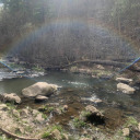 ickygreenslime avatar