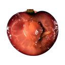 icogeum avatar